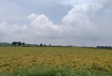 IMG 20250914 WA0015