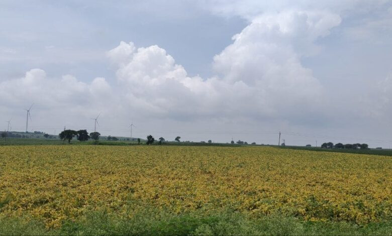मजबूरी बन गया खेती करना सोयाबीन के भाव नही होंने से किसान परेशान बीते कही सालो से घाटे की खेती में किसान। 1 IMG 20250914 WA0015