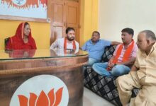 10 bjp1