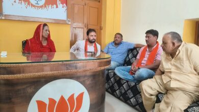 10 bjp1