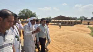 14 kisan3