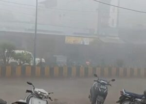 17 barish