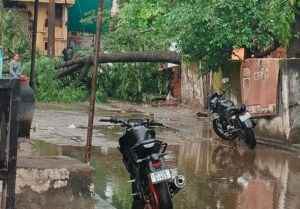 17 barish4