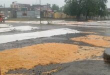22 barish