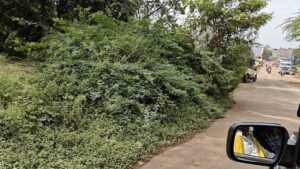 सेंधवा की सड़कों की दुर्दशा पर विधायक मोंटू सोलंकी का सख्त रुख, बोले– जनता की सुरक्षा सर्वोच्च प्राथमिकता 3 27 sadak4