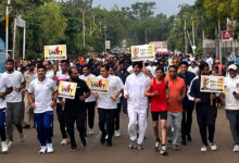 31 bwn1 scaled e1761893509108