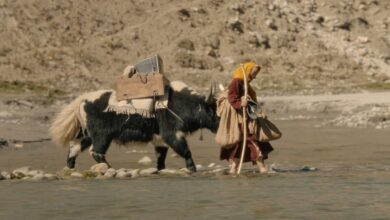 प्रवीण मोरछले निर्देशित "व्हाइट स्नो " का वर्ल्ड प्रीमियर 49वें साओ पाउलो इंटरनेशनल फिल्म फेस्टिवल, ब्राज़ील में 4 IMG 20251007 WA0038