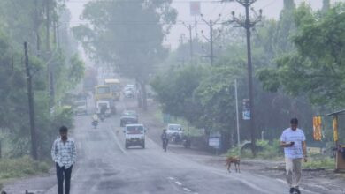 मौसम का यू टर्न... मौसम की करवट ने किसानों की बढ़ाई परेशानी खेती काम हुआ बंद बारिश से बोवनी में पिछडाए किसान। 8 IMG 20251030 WA0033