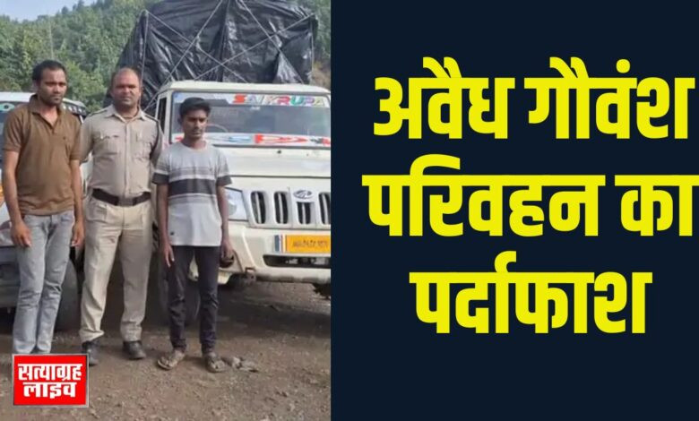 सेंधवा में अवैध गौवंश परिवहन का पर्दाफाश, बिजासन चौकी पुलिस की बड़ी कार्रवाई 1 Copy of Copy of 01 jp 1