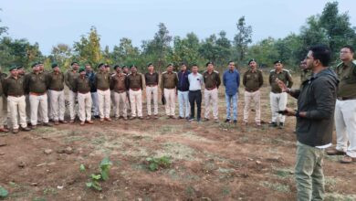 चार चरणों में होगा जिले में वन्यप्राणियों का सर्वे बाघ व तेंदुओं की गणना, धार झाबुआ की सीमा पर बाघ का नया आशियाना। 3 IMG 20251130 WA0029