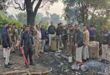 Img 2025 11 18 21 26 47