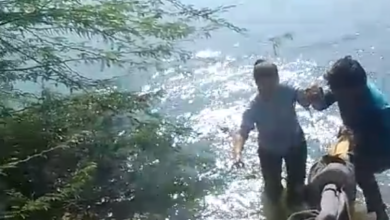 Screenshot 20251217 163421 1