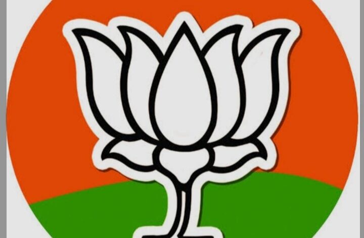 पर्यावरण संतुलन के साथ पर्यटन और विकास को मिलेगा बढ़ावा- गौरव रणदिवे 1 IMG 20250617 061340