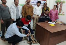 SAVE 20260110 193823