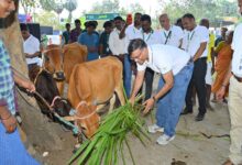 SAVE 20260225 173951