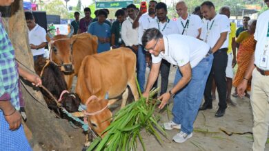 SAVE 20260225 173951